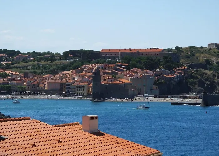 - Modern Beachside Joey